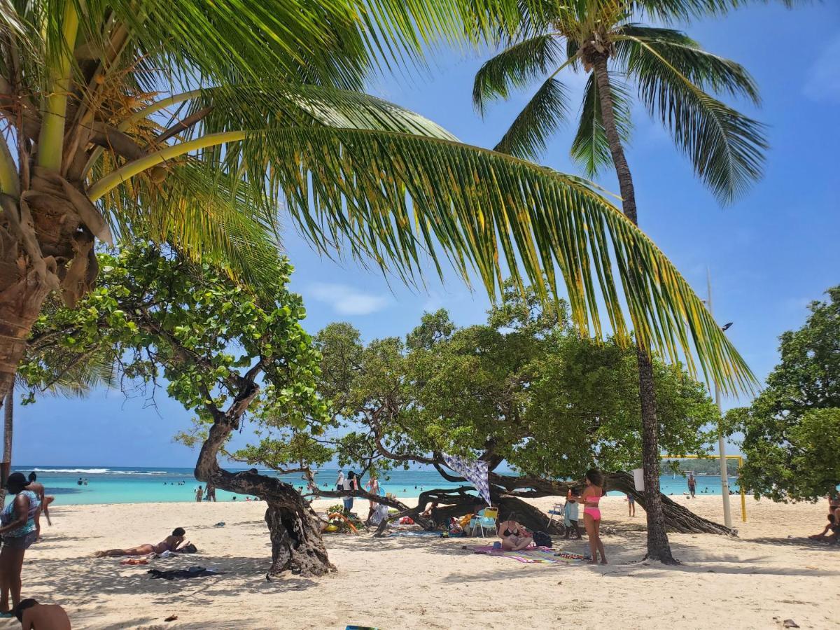 Villa L'Anjou Creole A Sainte Anne En Guadeloupe Avec Piscine Privee Et 2 Chambres Pour 4 Personnes Bagian luar foto