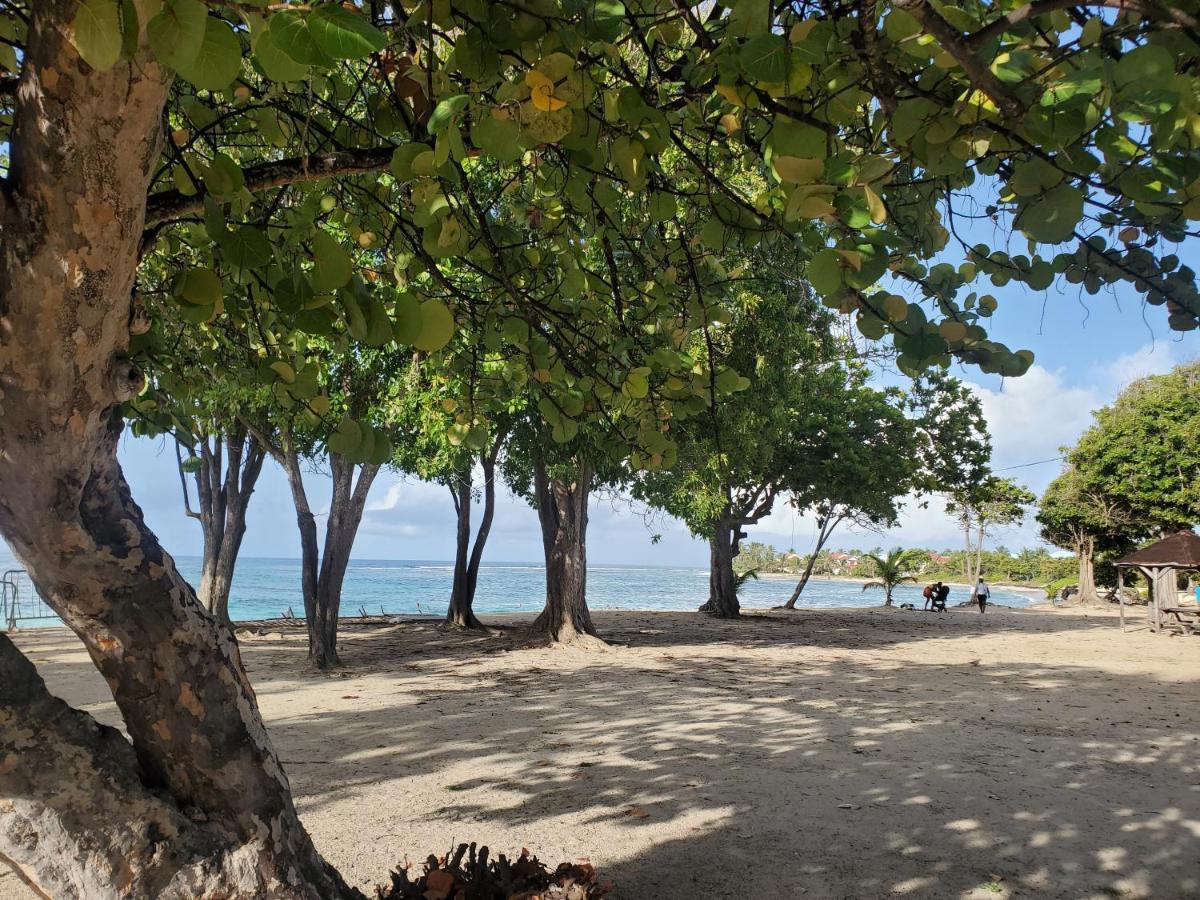 Villa L'Anjou Creole A Sainte Anne En Guadeloupe Avec Piscine Privee Et 2 Chambres Pour 4 Personnes Bagian luar foto