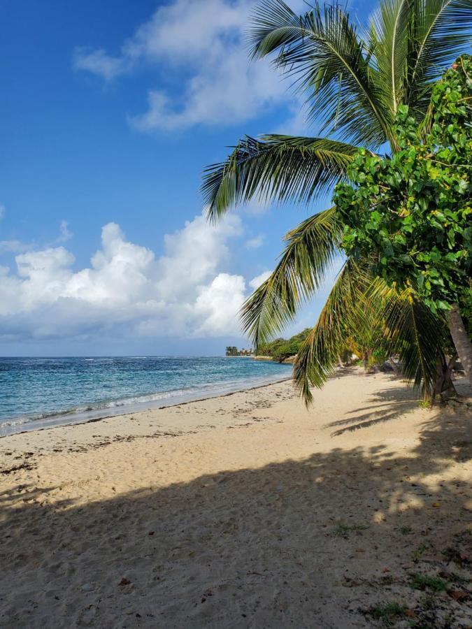 Villa L'Anjou Creole A Sainte Anne En Guadeloupe Avec Piscine Privee Et 2 Chambres Pour 4 Personnes Bagian luar foto
