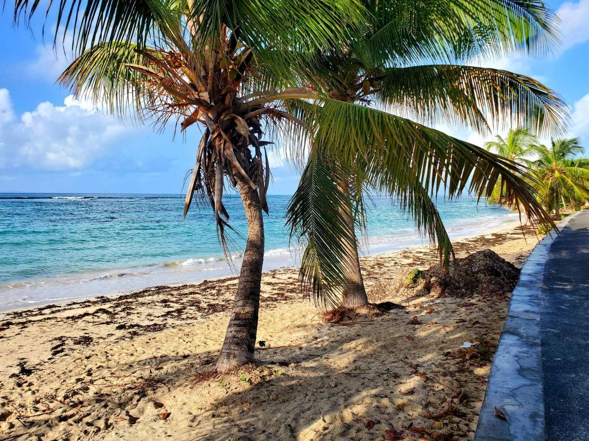 Villa L'Anjou Creole A Sainte Anne En Guadeloupe Avec Piscine Privee Et 2 Chambres Pour 4 Personnes Bagian luar foto