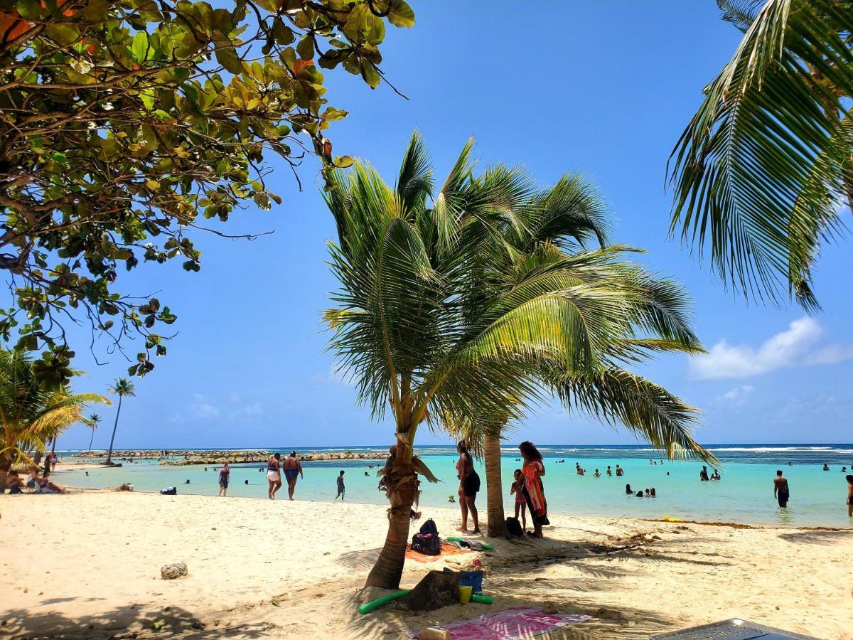 Villa L'Anjou Creole A Sainte Anne En Guadeloupe Avec Piscine Privee Et 2 Chambres Pour 4 Personnes Bagian luar foto
