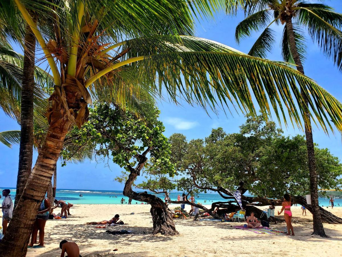 Villa L'Anjou Creole A Sainte Anne En Guadeloupe Avec Piscine Privee Et 2 Chambres Pour 4 Personnes Bagian luar foto