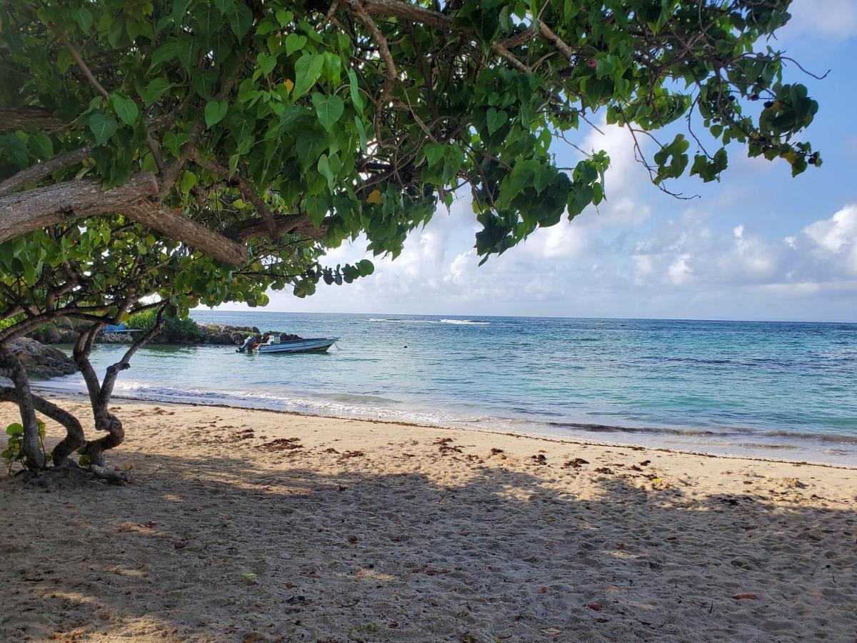 Villa L'Anjou Creole A Sainte Anne En Guadeloupe Avec Piscine Privee Et 2 Chambres Pour 4 Personnes Bagian luar foto