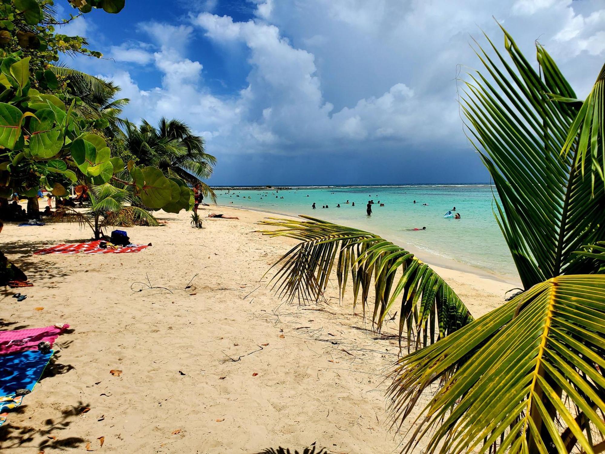 Villa L'Anjou Creole A Sainte Anne En Guadeloupe Avec Piscine Privee Et 2 Chambres Pour 4 Personnes Bagian luar foto